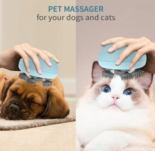 Full Body Massager